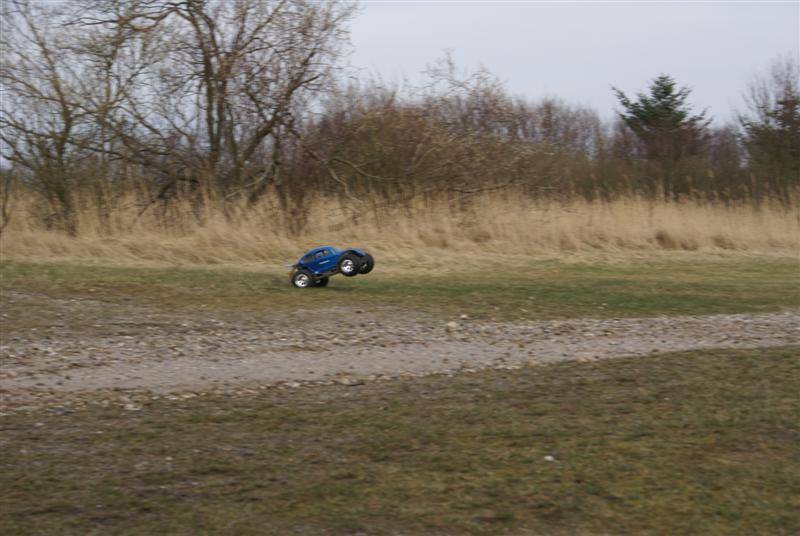 beetlewheely (Medium).JPG